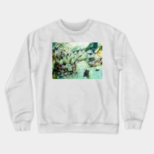 Purple Tipped Giant Sea Anemone and Cleaner Shrimp Crewneck Sweatshirt